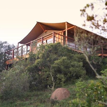 Addo Elephant Lodge & Safaris Kirkwood Extérieur photo