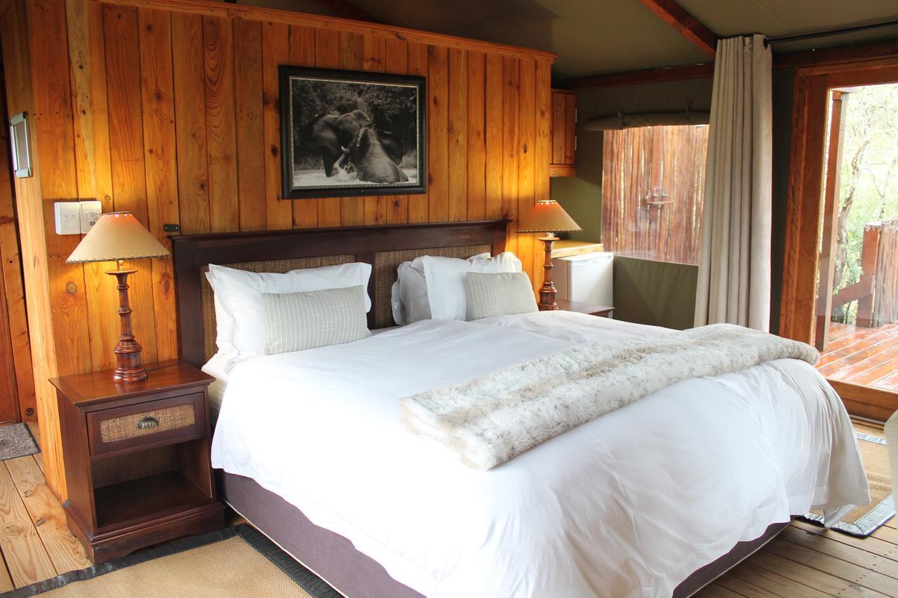 Addo Elephant Lodge & Safaris Kirkwood Extérieur photo