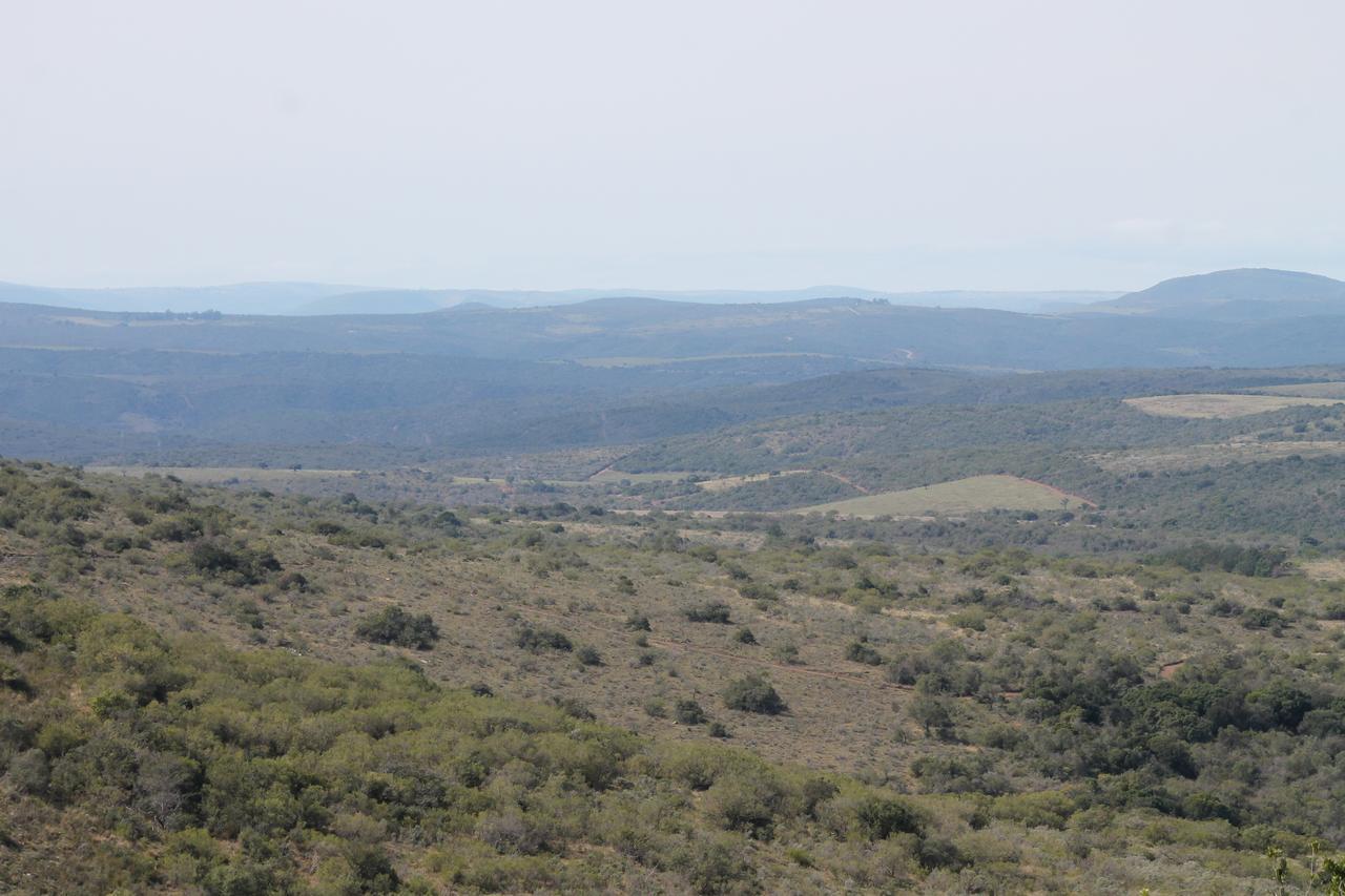 Addo Elephant Lodge & Safaris Kirkwood Extérieur photo