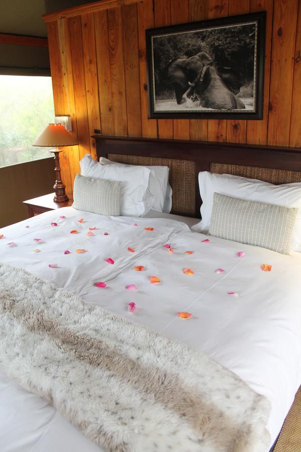 Addo Elephant Lodge & Safaris Kirkwood Extérieur photo