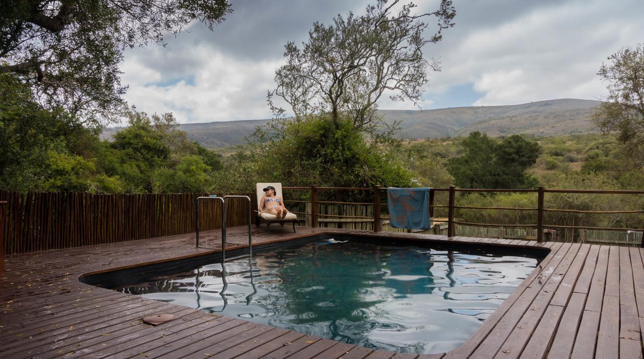 Addo Elephant Lodge & Safaris Kirkwood Extérieur photo