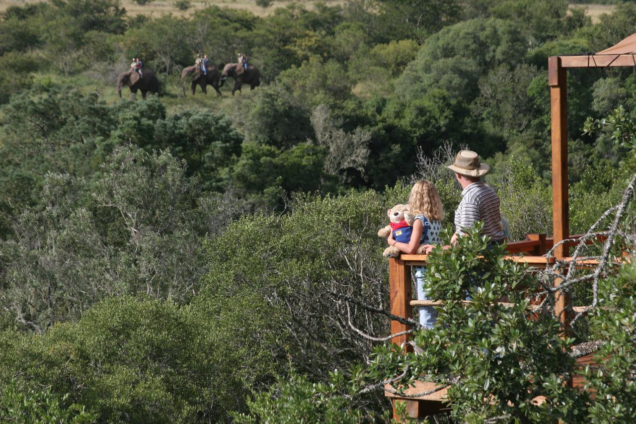 Addo Elephant Lodge & Safaris Kirkwood Extérieur photo